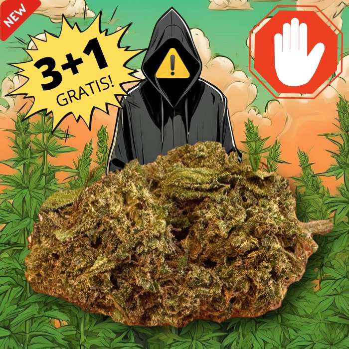 No#Name cannabis BOOST
