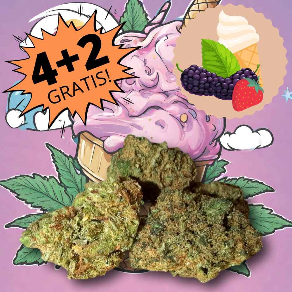 Unicorn Cream small buds