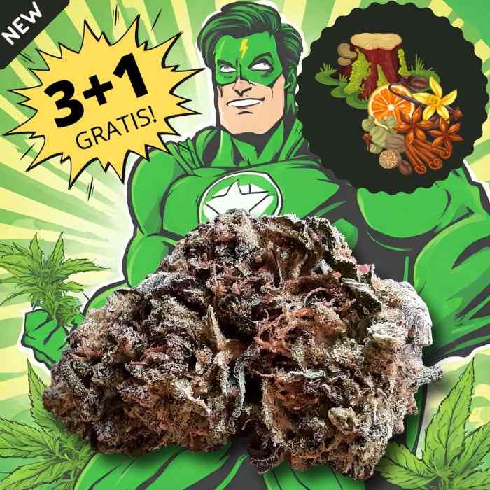 StronGest cannabis special