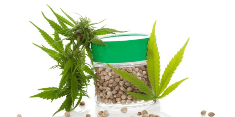 I migliori semi di cannabis