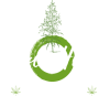 Seven Hemp - Negozio di Marijuana Legale e CBD online