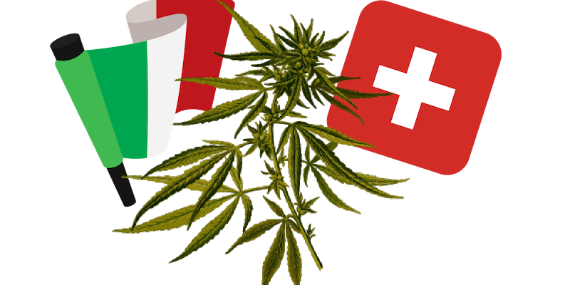 La qualità della cannabis legale italiana