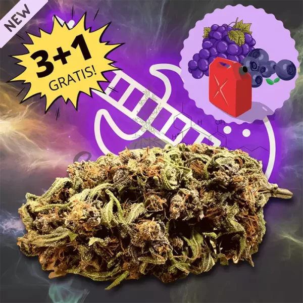 Marijuana online shop Deep Purple H4CBD