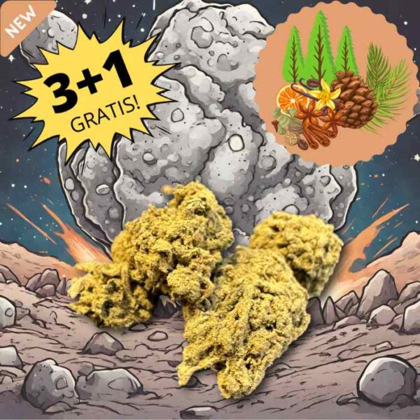 Moontock di cannabis legale Seven Hemp