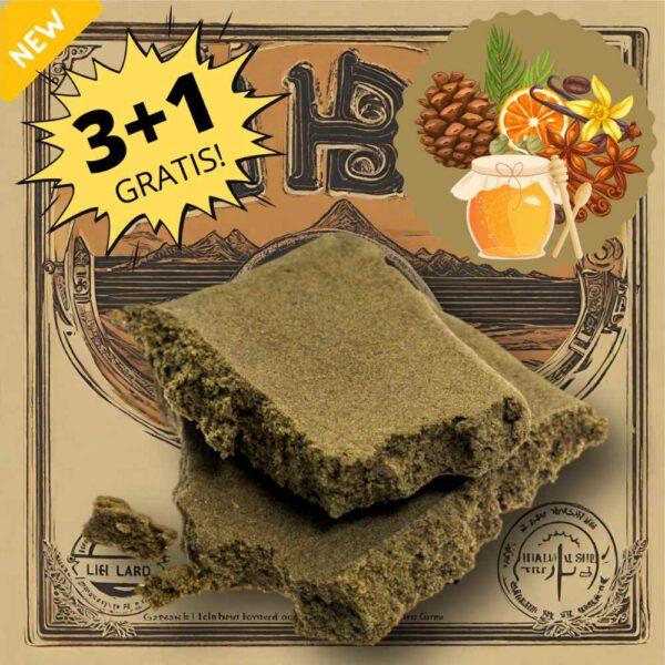 Hashish CBD legale Libanese Seven Hemp
