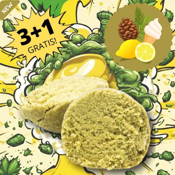 Hashish lemon cbd Seven Hemp